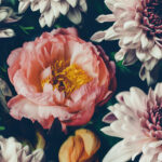 Vintage bouquet of beautiful flowers on black. Floral background | ASD Market Week