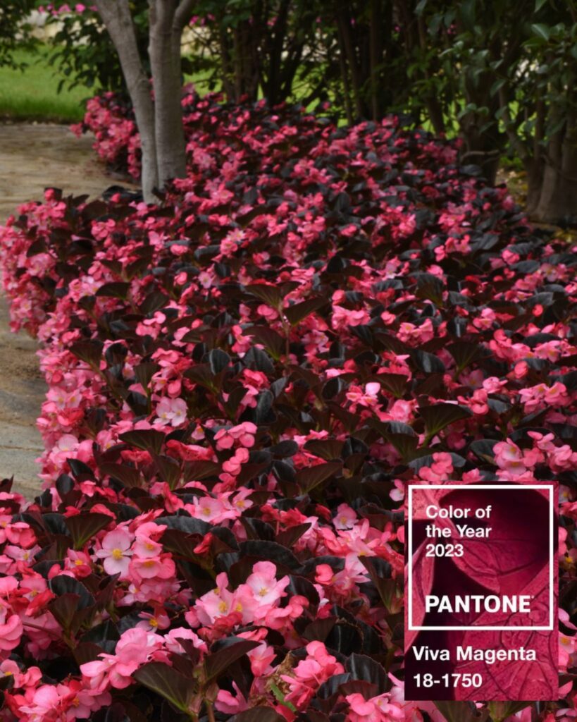 pantone-color-of-the-year-products-retailers | ASD Market Week Fashion Design Color of the Year 2023